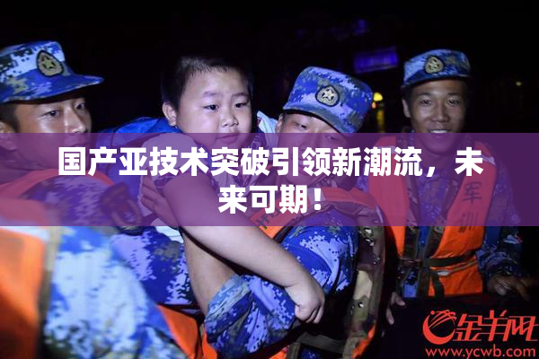 国产亚技术突破引领新潮流，未来可期！
