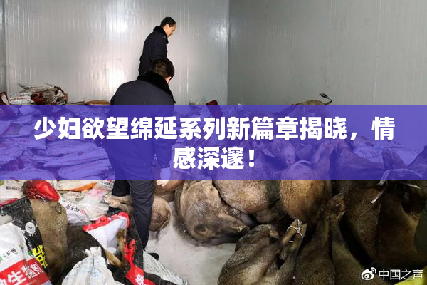 少妇欲望绵延系列新篇章揭晓，情感深邃！