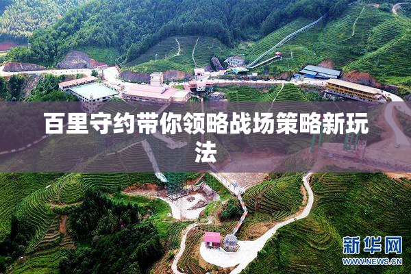 百里守约带你领略战场策略新玩法