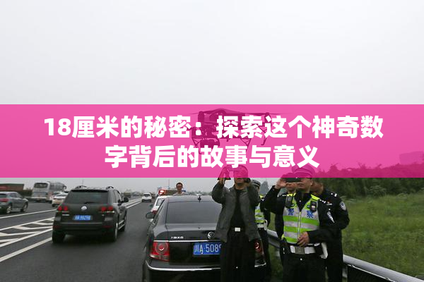 18厘米的秘密：探索这个神奇数字背后的故事与意义