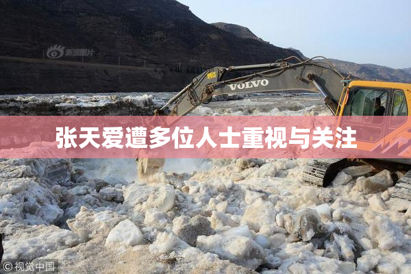 张天爱遭多位人士重视与关注