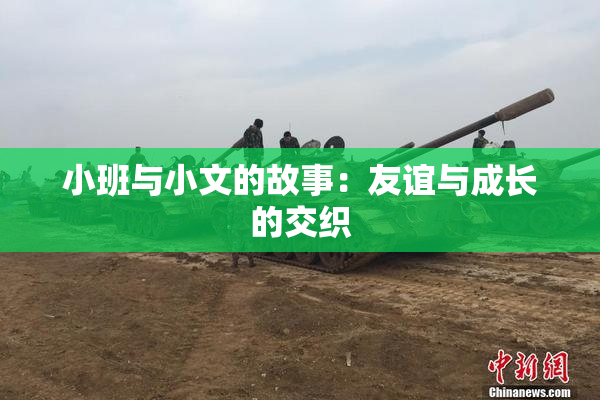 小班与小文的故事：友谊与成长的交织