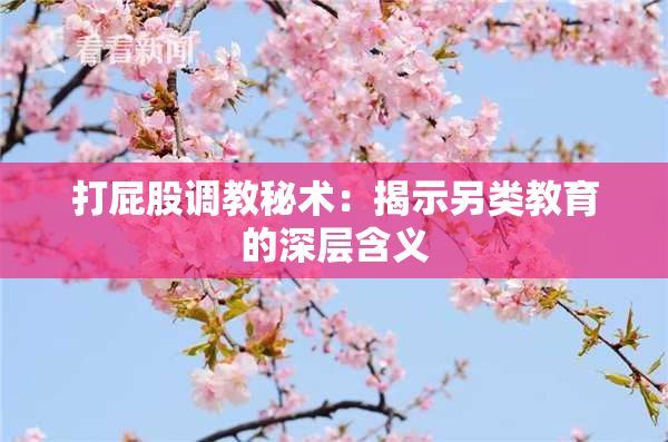 打屁股调教秘术：揭示另类教育的深层含义