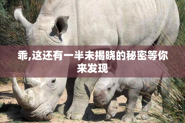 乖,这还有一半未揭晓的秘密等你来发现