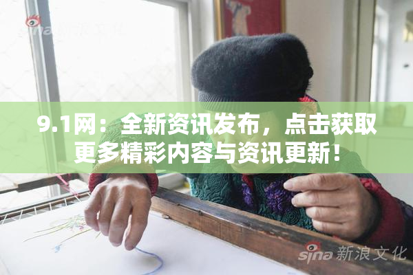 9.1网：全新资讯发布，点击获取更多精彩内容与资讯更新！