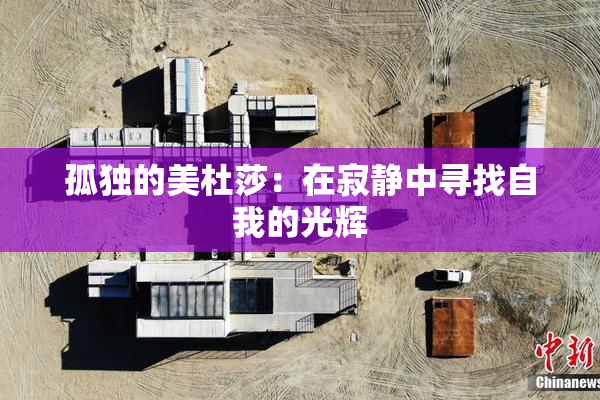孤独的美杜莎：在寂静中寻找自我的光辉