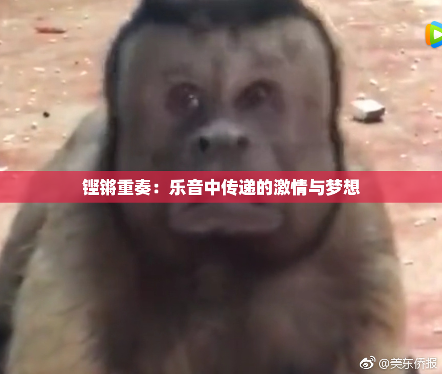 铿锵重奏：乐音中传递的激情与梦想
