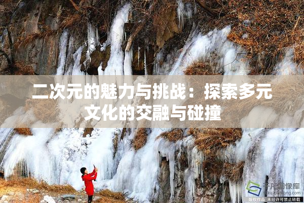 二次元的魅力与挑战：探索多元文化的交融与碰撞