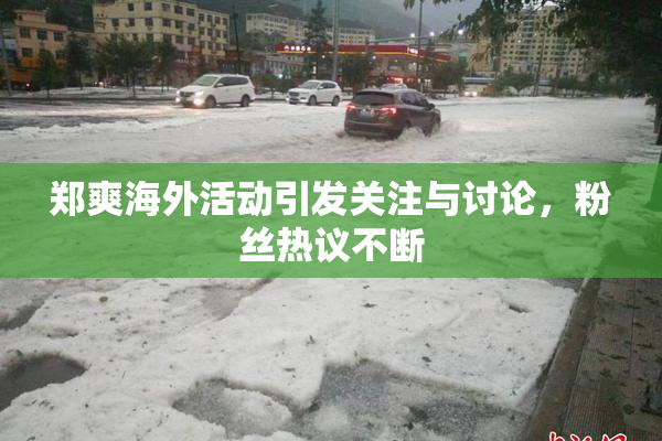 郑爽海外活动引发关注与讨论，粉丝热议不断