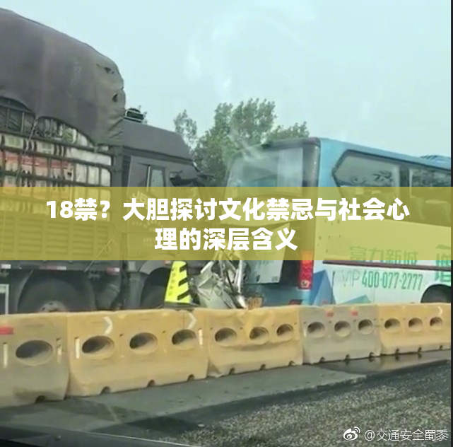 18禁？大胆探讨文化禁忌与社会心理的深层含义