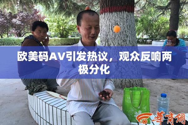欧美码AV引发热议，观众反响两极分化