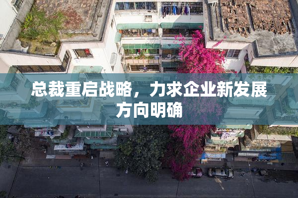 总裁重启战略，力求企业新发展方向明确