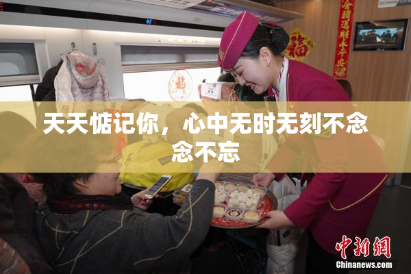 天天惦记你，心中无时无刻不念念不忘