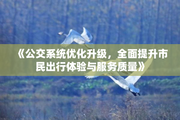 《公交系统优化升级，全面提升市民出行体验与服务质量》