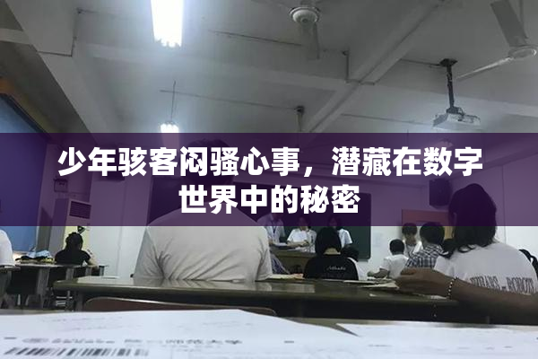 少年骇客闷骚心事，潜藏在数字世界中的秘密
