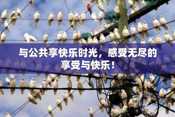 与公共享快乐时光，感受无尽的享受与快乐！