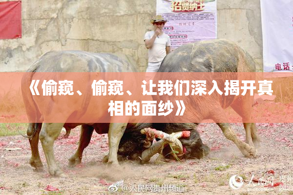 《偷窥、偷窥、让我们深入揭开真相的面纱》