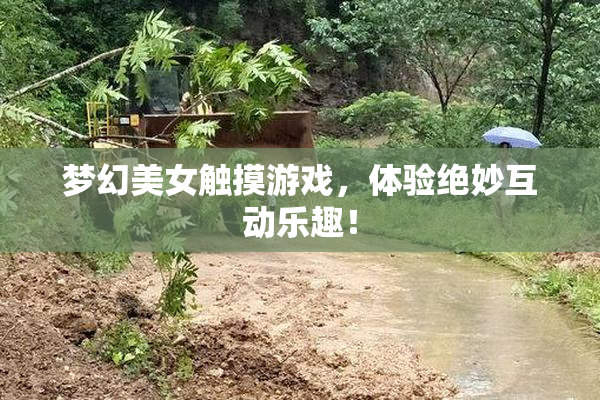 梦幻美女触摸游戏，体验绝妙互动乐趣！