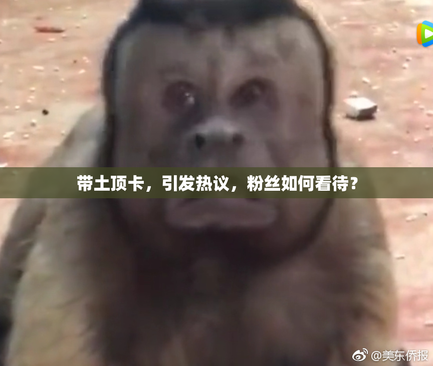 带土顶卡，引发热议，粉丝如何看待？