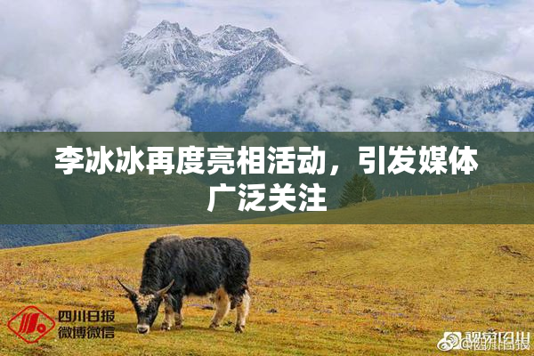 李冰冰再度亮相活动，引发媒体广泛关注