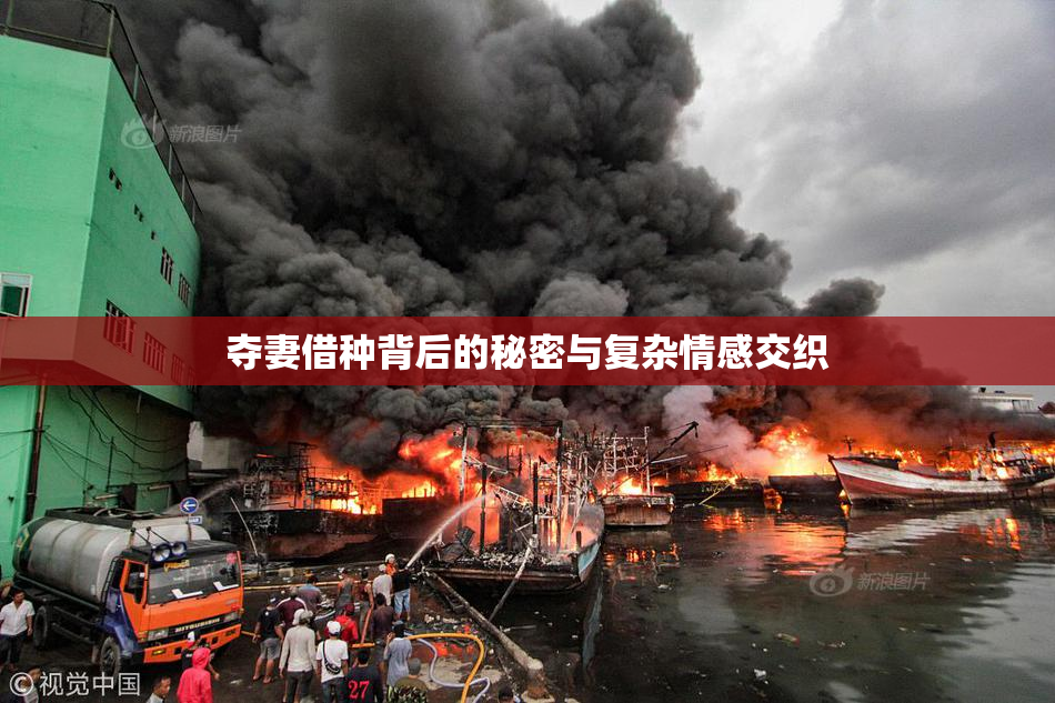 夺妻借种背后的秘密与复杂情感交织