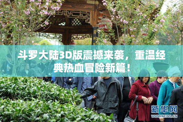 斗罗大陆3D版震撼来袭，重温经典热血冒险新篇！