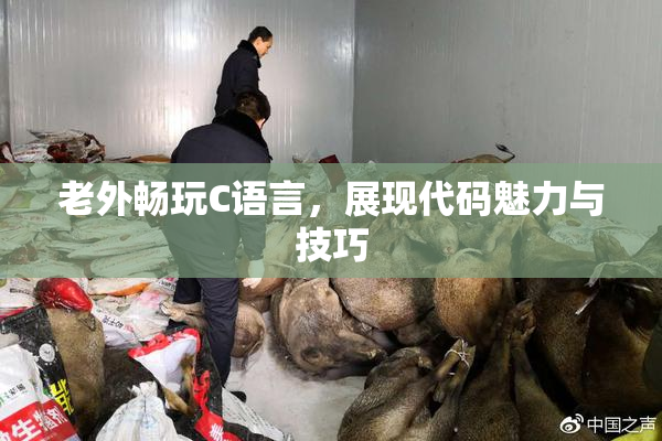 老外畅玩C语言，展现代码魅力与技巧