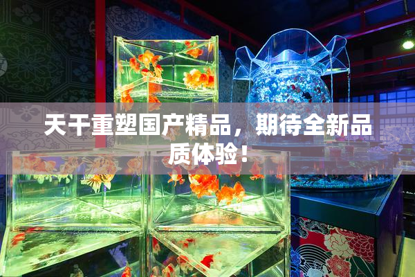 天干重塑国产精品，期待全新品质体验！