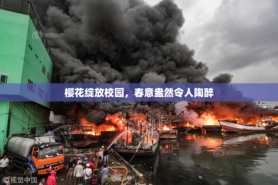 樱花绽放校园，春意盎然令人陶醉