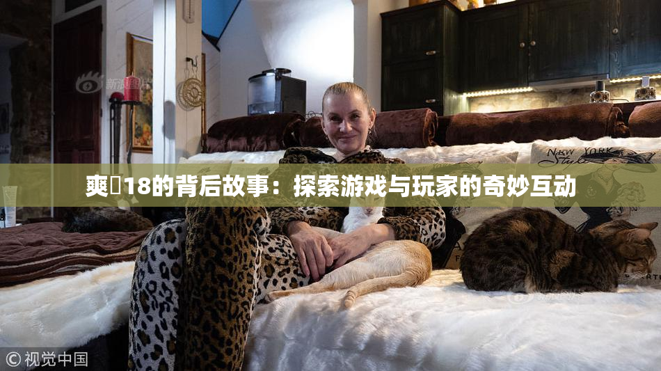 爽擼18的背后故事：探索游戏与玩家的奇妙互动