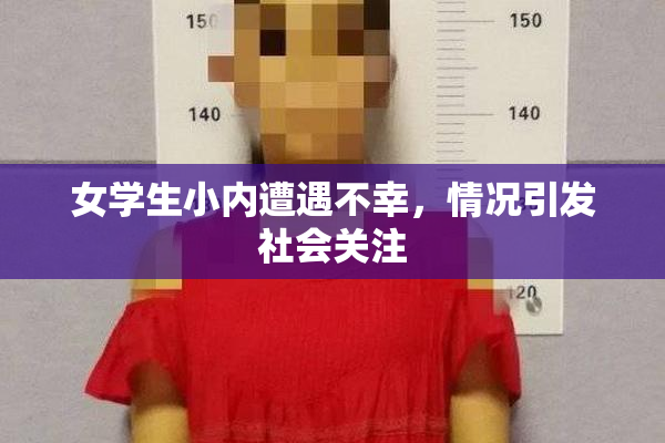 女学生小内遭遇不幸，情况引发社会关注