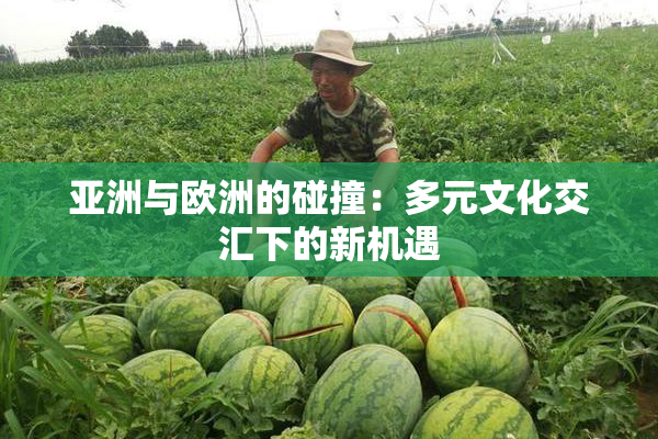 亚洲与欧洲的碰撞：多元文化交汇下的新机遇