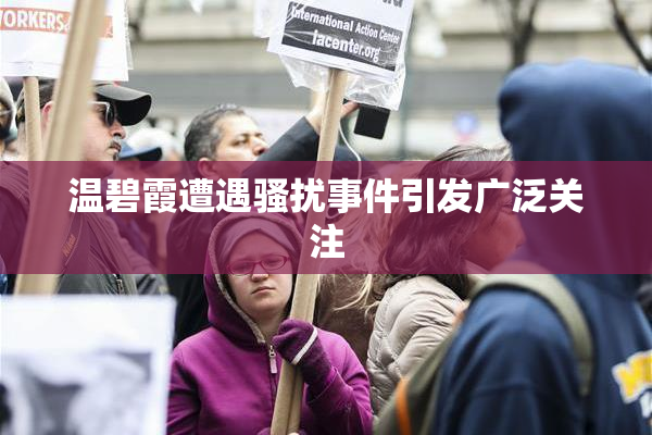 温碧霞遭遇骚扰事件引发广泛关注