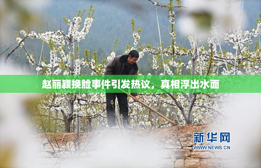 赵丽颖换脸事件引发热议，真相浮出水面