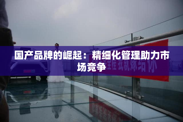 国产品牌的崛起：精细化管理助力市场竞争