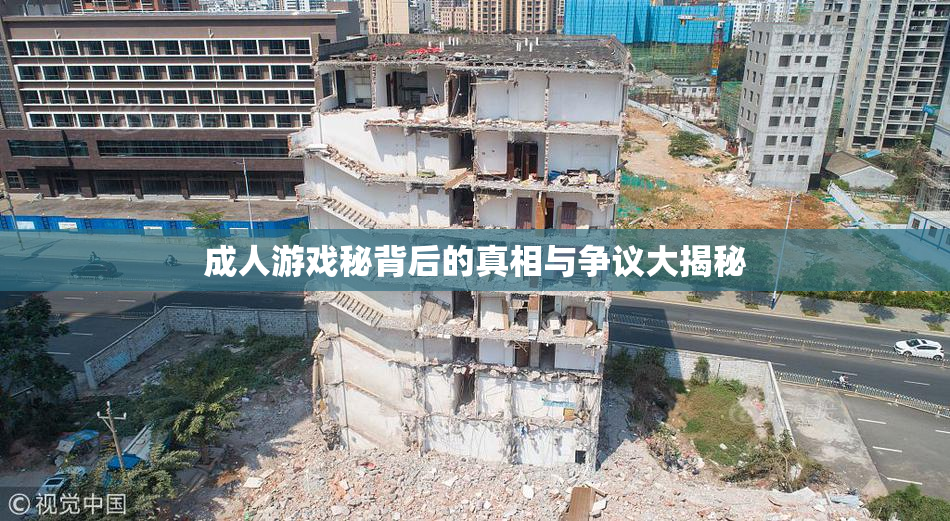 成人游戏秘背后的真相与争议大揭秘