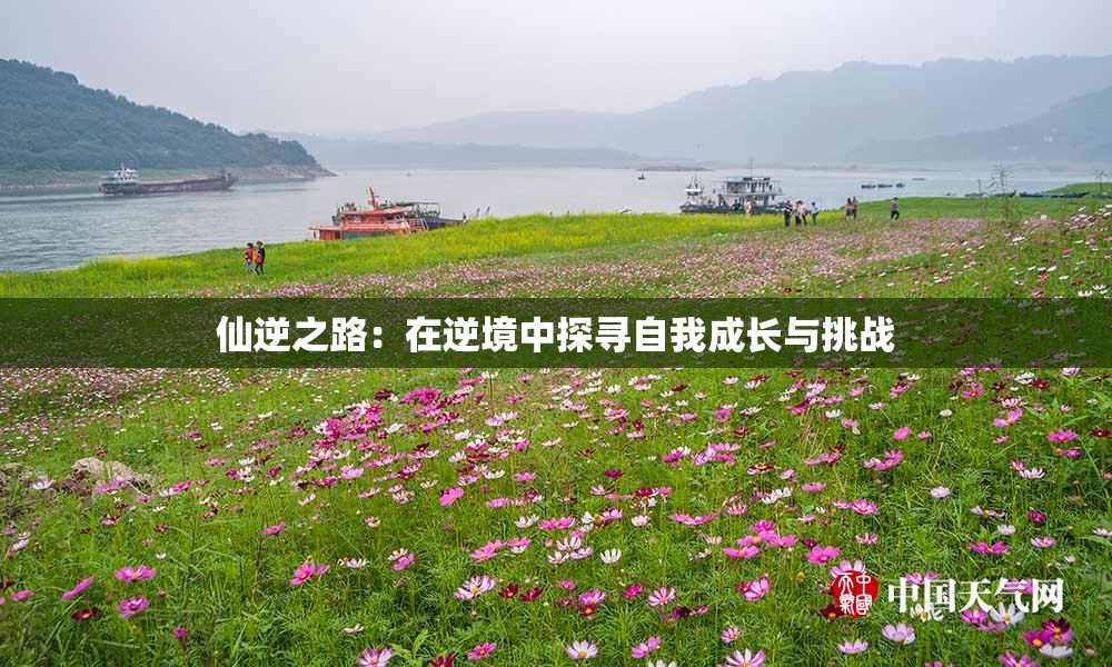 仙逆之路：在逆境中探寻自我成长与挑战