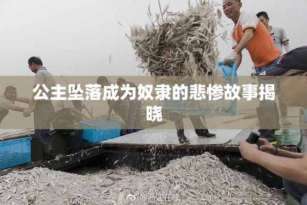 公主坠落成为奴隶的悲惨故事揭晓