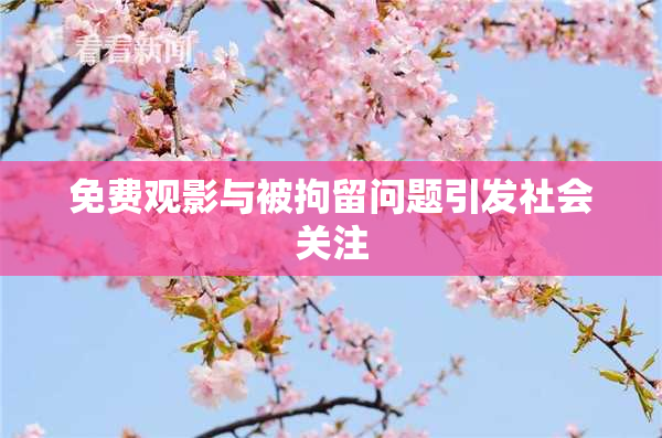 免费观影与被拘留问题引发社会关注