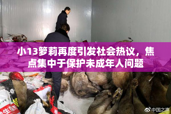 小13箩莉再度引发社会热议，焦点集中于保护未成年人问题