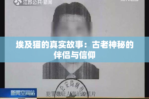 埃及猫的真实故事：古老神秘的伴侣与信仰