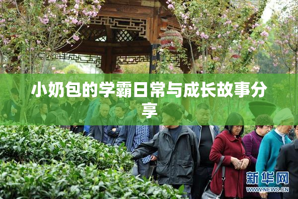 小奶包的学霸日常与成长故事分享