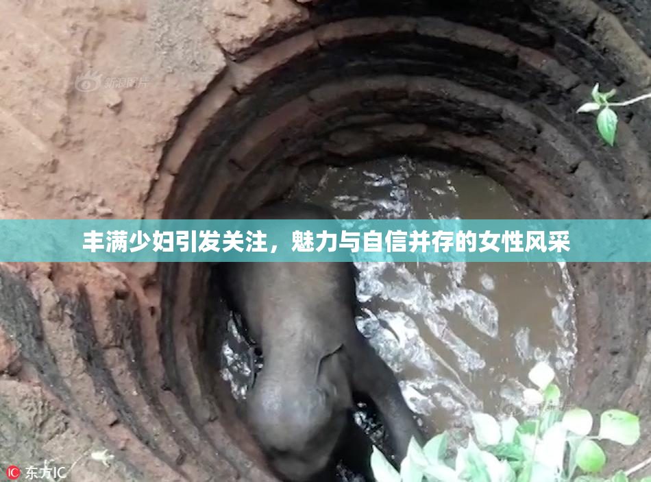 丰满少妇引发关注，魅力与自信并存的女性风采