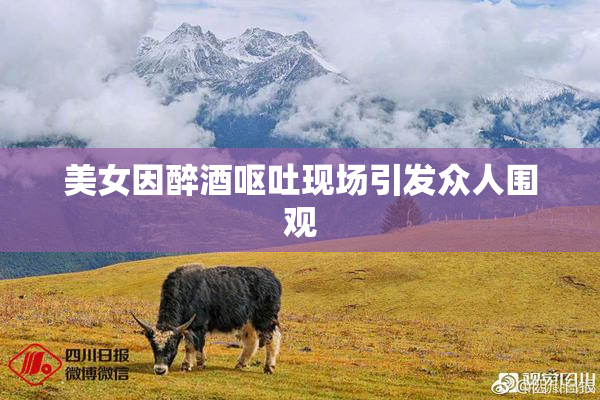 美女因醉酒呕吐现场引发众人围观