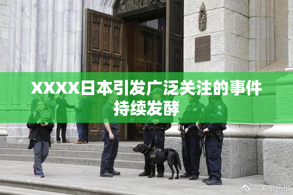 XXXX日本引发广泛关注的事件持续发酵