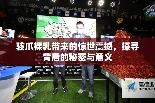 骇爪裸乳带来的惊世震撼，探寻背后的秘密与意义