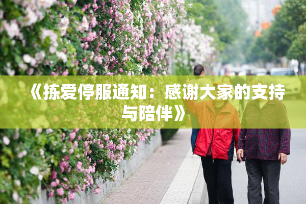 《拣爱停服通知：感谢大家的支持与陪伴》