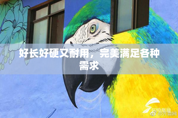 好长好硬又耐用，完美满足各种需求