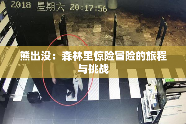 熊出没：森林里惊险冒险的旅程与挑战