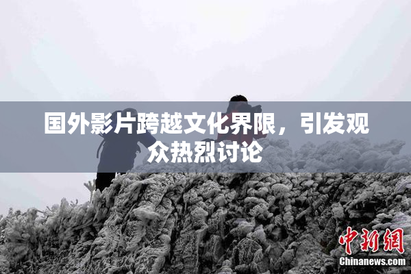 国外影片跨越文化界限，引发观众热烈讨论